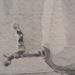 SAMOVAR