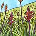 Plantes_invasives