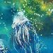 MEDUSES