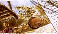 papier asie